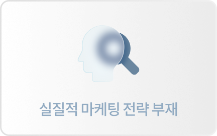 실질적 마케팅 전략 부재